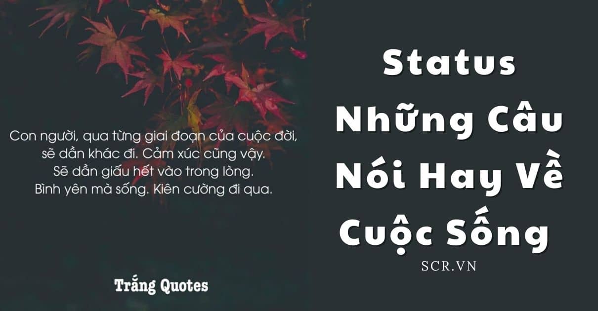 Status Nhung Cau Noi Hay Ve Cuoc Song Ngan Gon -danhngon24h