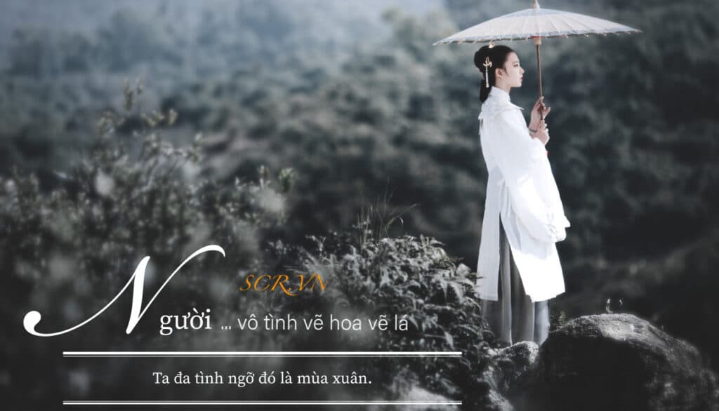 Stt Hay Khi Đăng Ảnh Đại Diện