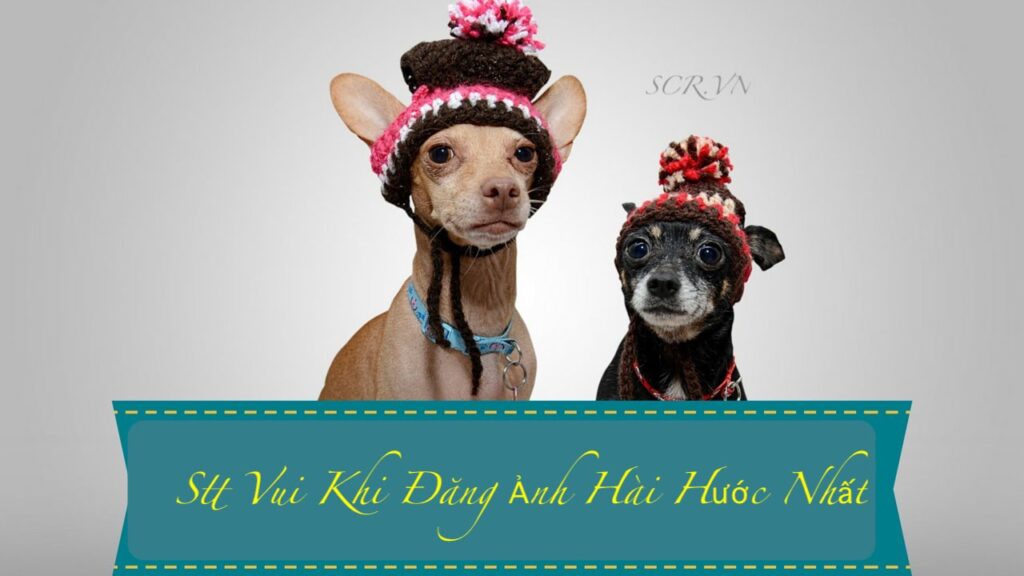 Stt Vui Khi Đăng Ảnh Hài Hước