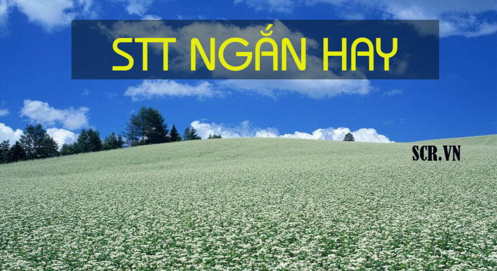 Stt ngắn hay nhất