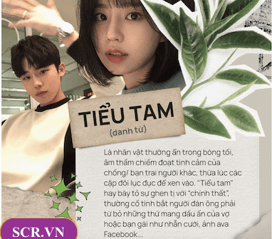 Tus về trà xanh tuesday