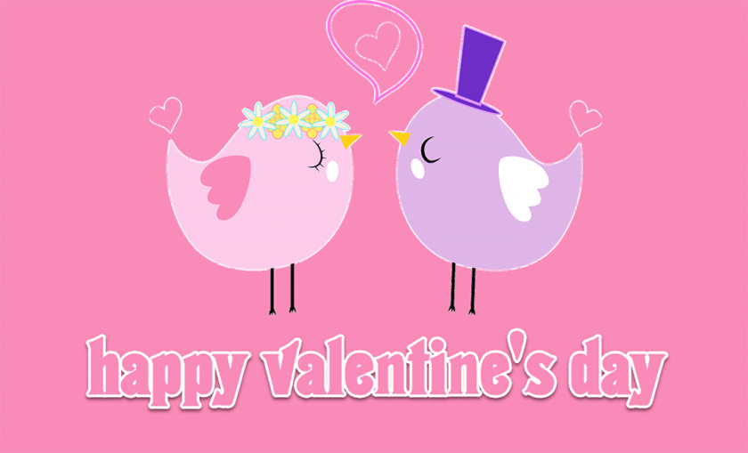 Valentine hạnh phúc với cặp dôi chim uyên ương siêu lãng mạn