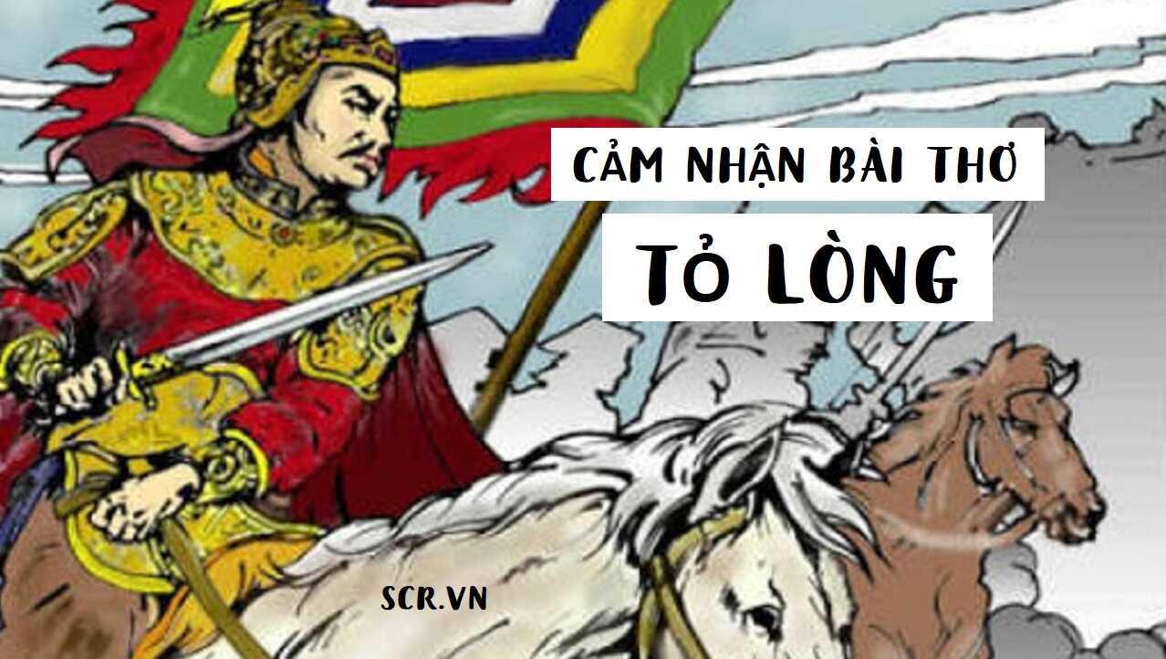 Cam Nhan Bai Tho To Long