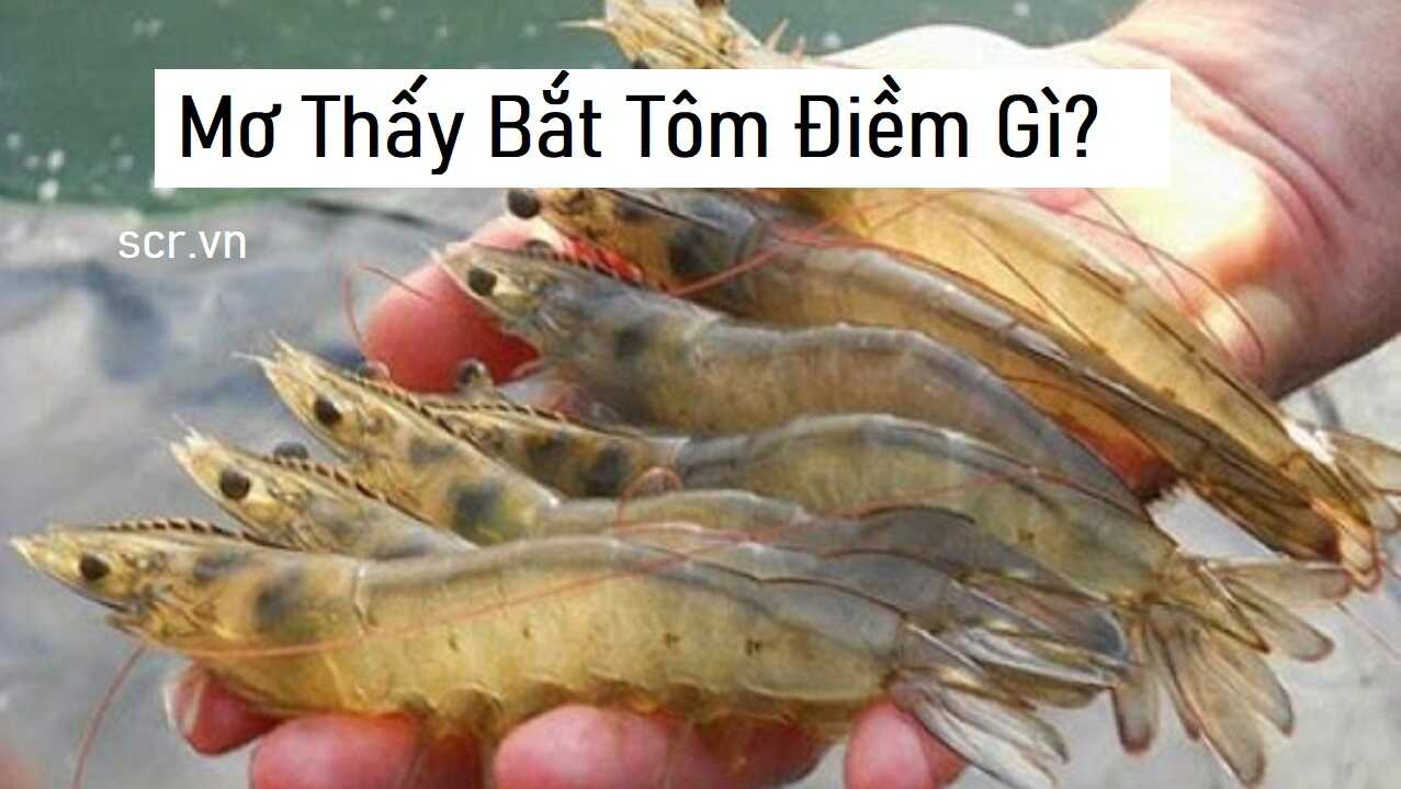 Mo Thay Bat Tom