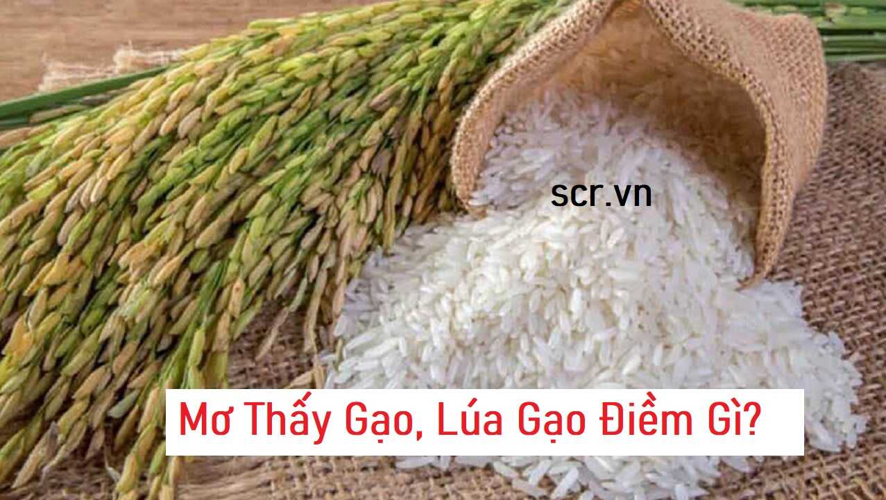 Mo Thay Gao