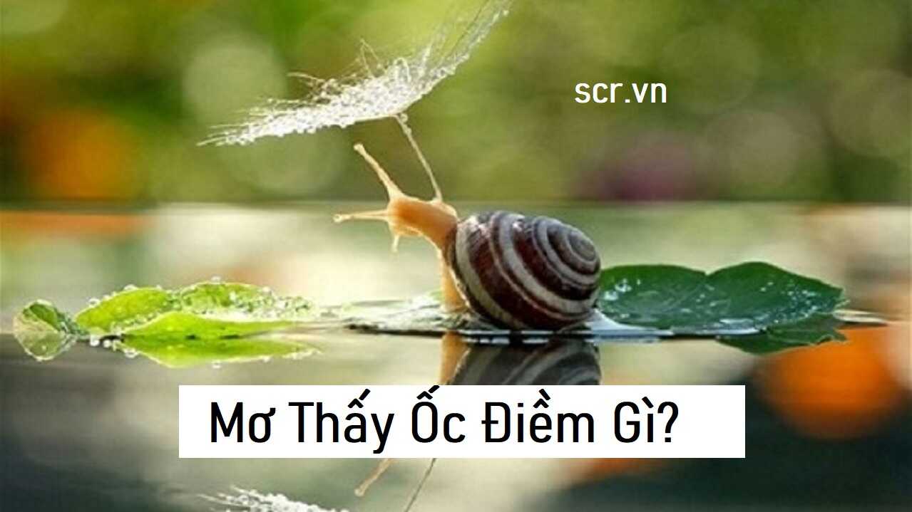 Mo Thay Oc