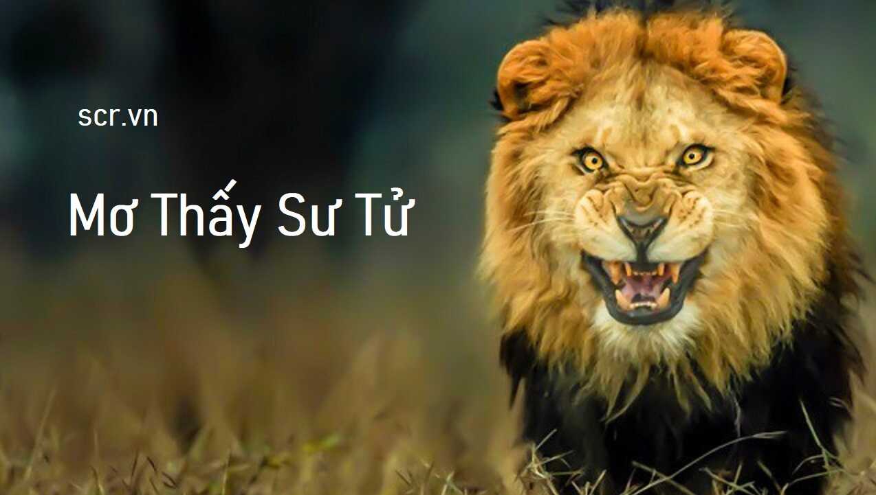 Mo Thay Su Tu