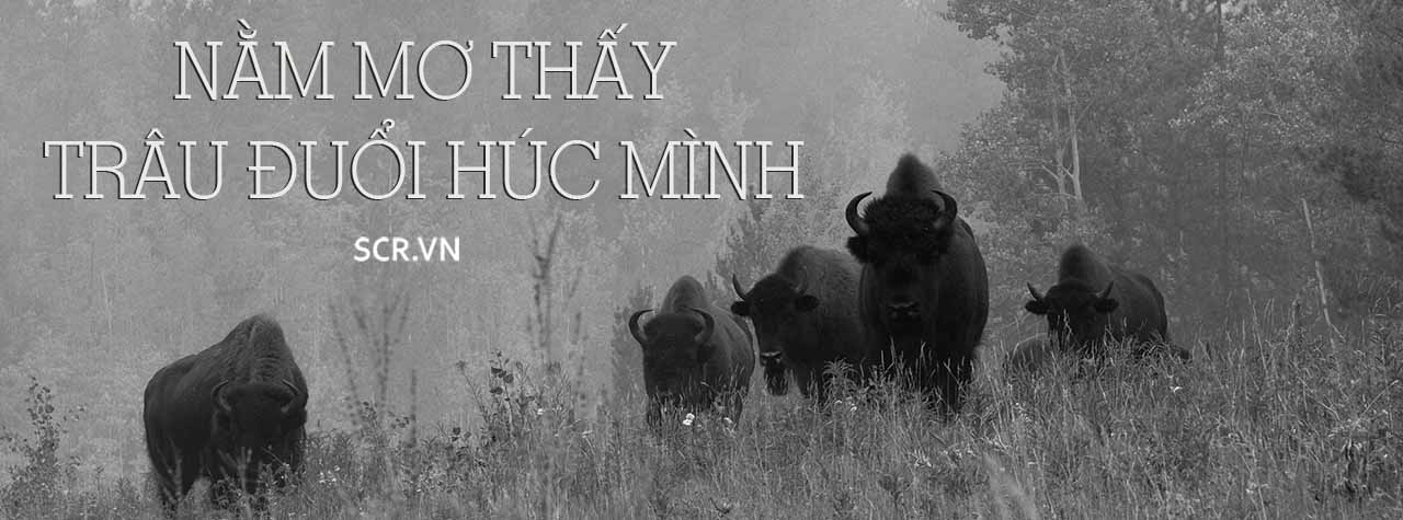 Nam Mo Thay Trau Duoi Huc Minh