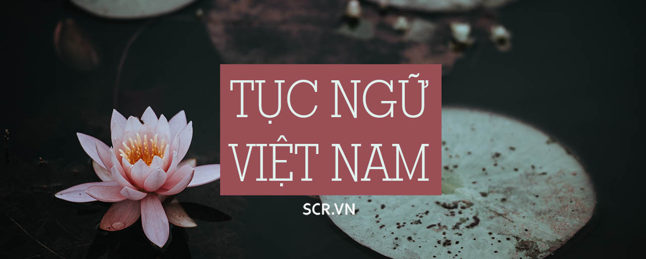 Tục Ngữ Việt Nam