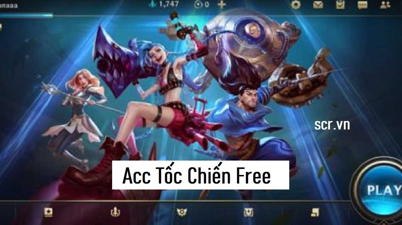 Acc Toc Chien