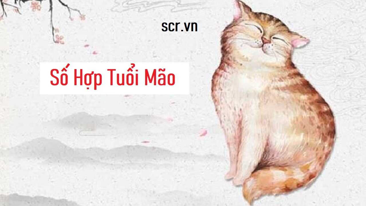 So Hop Tuoi Mao