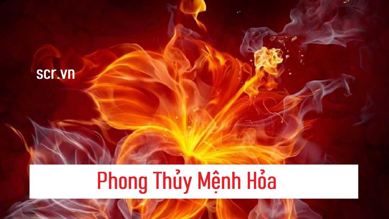 Phong Thuy Menh Hoa