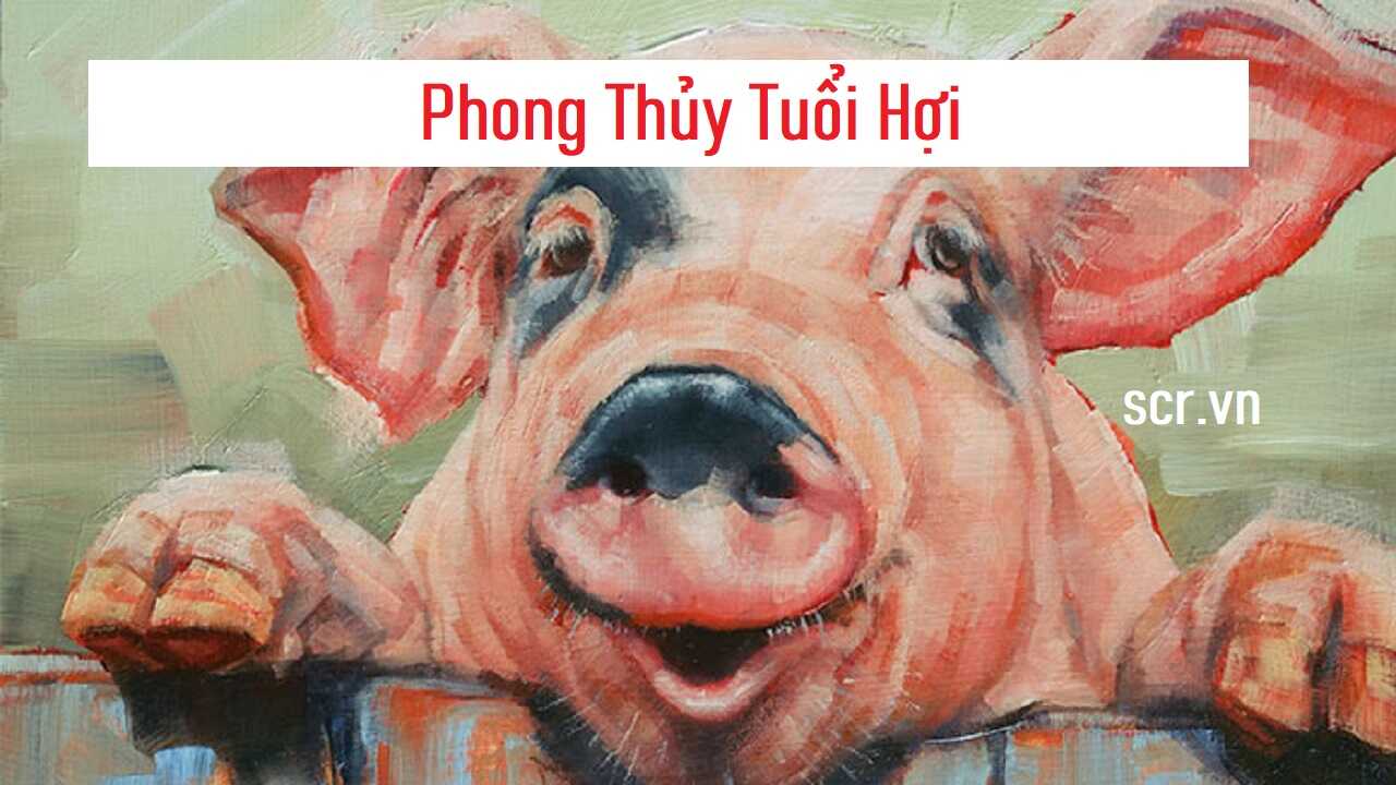 Phong Thuy Tuoi Hoi