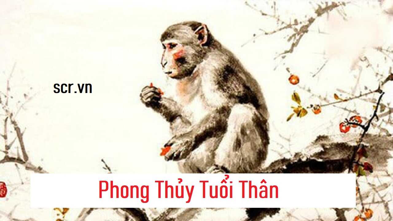 Phong Thuy Tuoi Than
