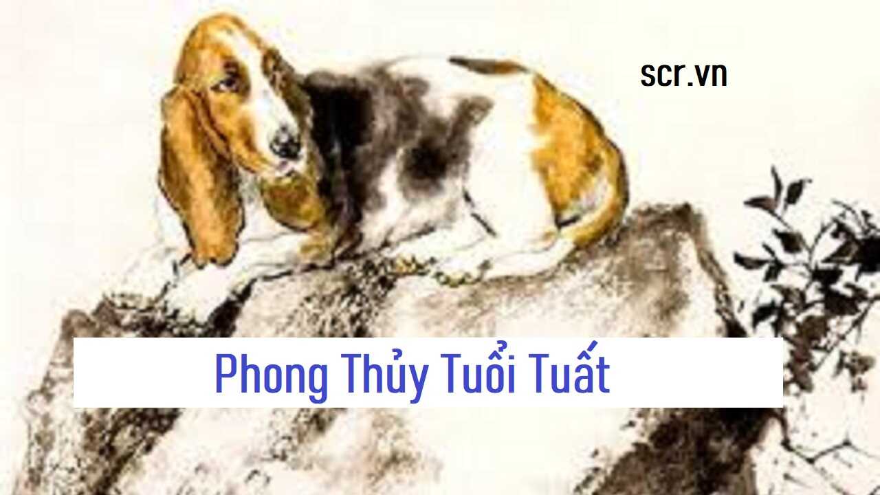 Phong Thuy Tuoi Tuat