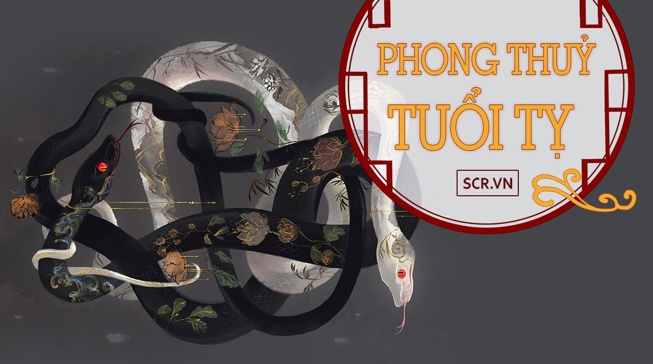 Phong Thuy Tuoi Ty 1