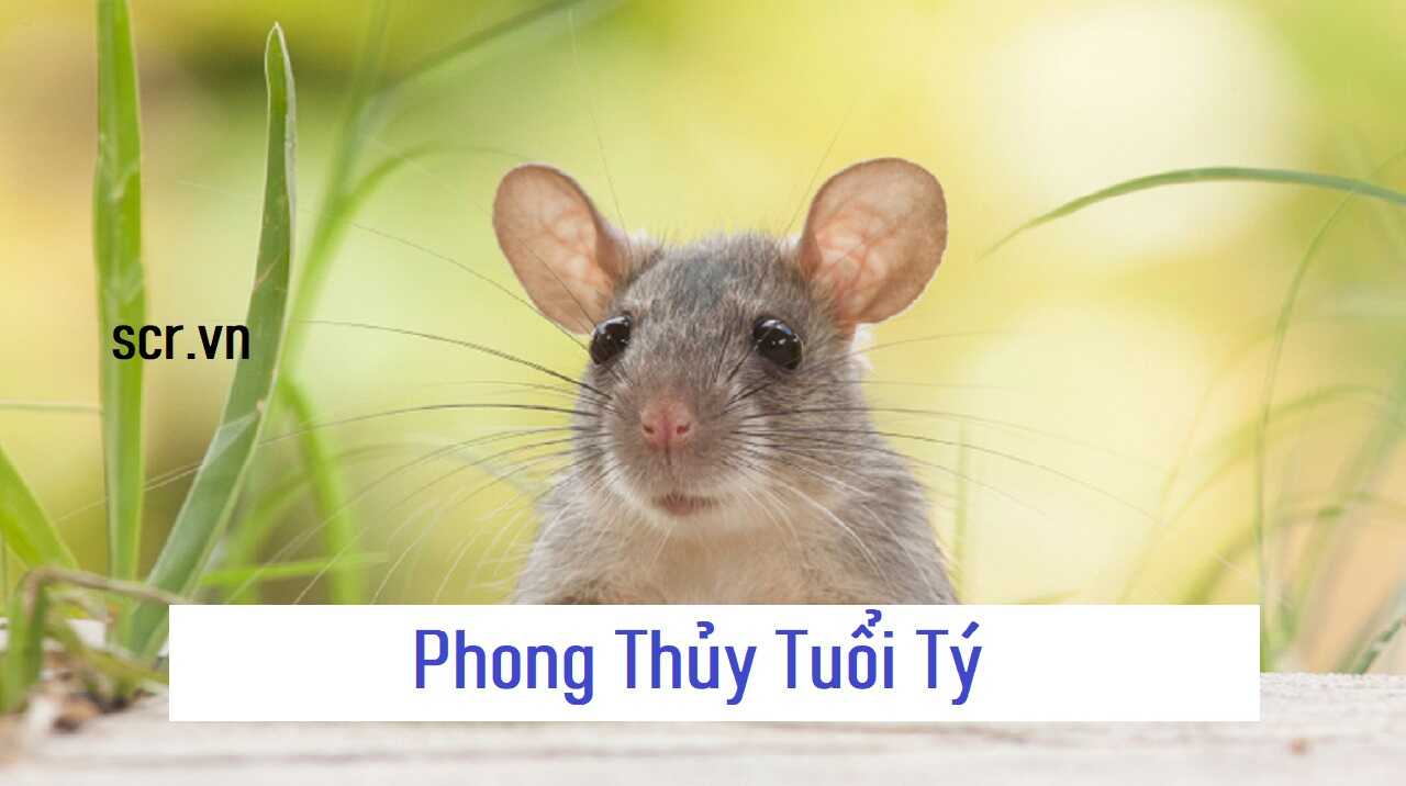 Phong Thuy Tuoi Ty