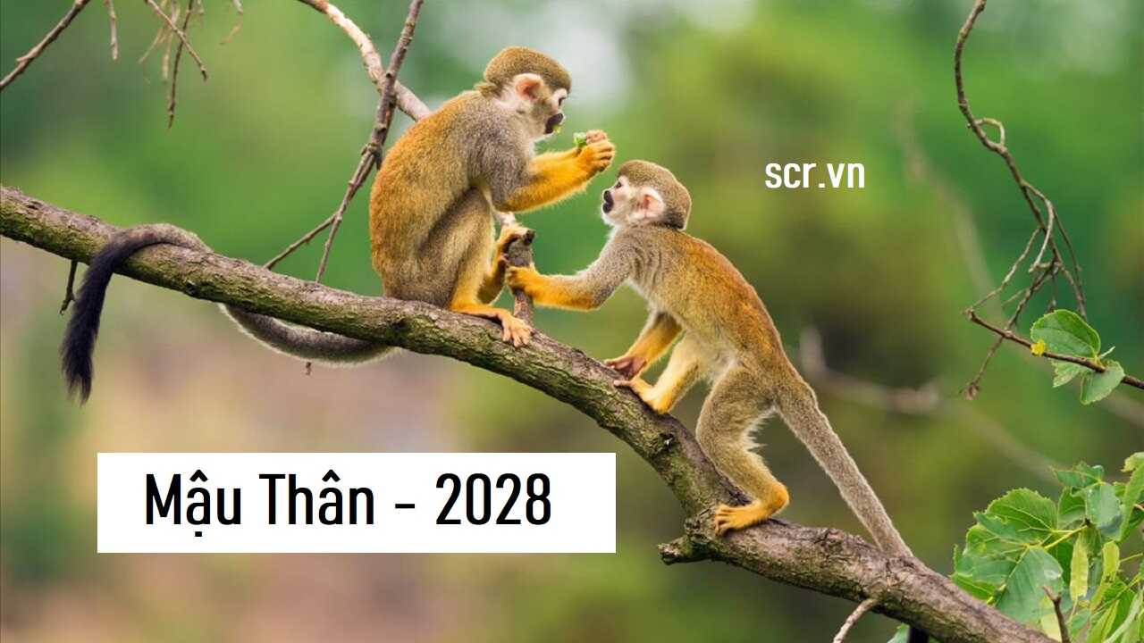 2028 Mệnh Gì Năm 2028 Là Năm Con Gì Tử Vi Mậu Thân