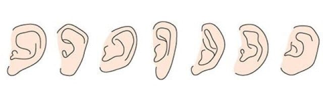 Cách xem tướng tai phụ nữ qua kích thước tai