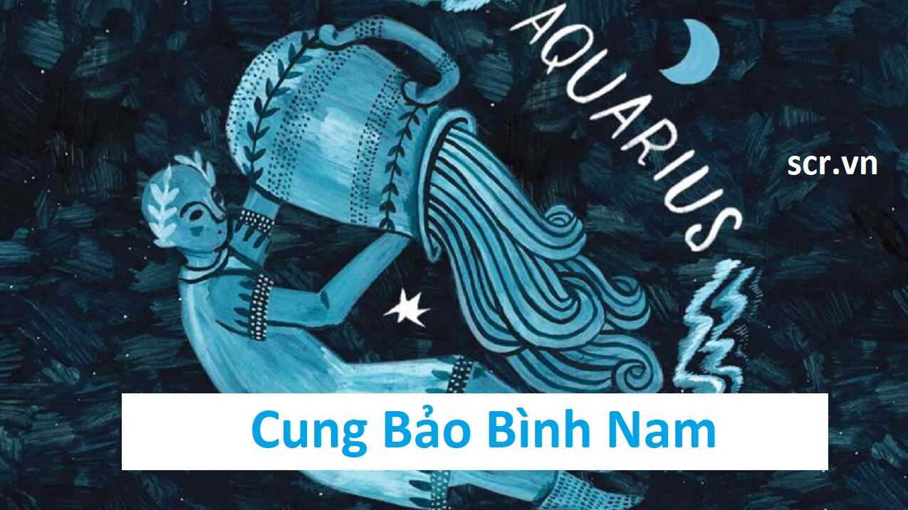 Cung Bao Binh Nam