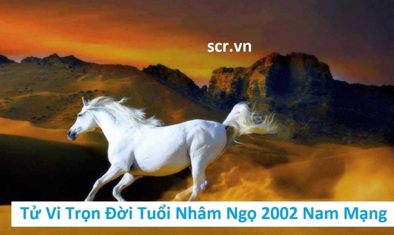Tử Vi Trọn Đời Tuổi Nhâm Ngọ 2002 Nam Mạng