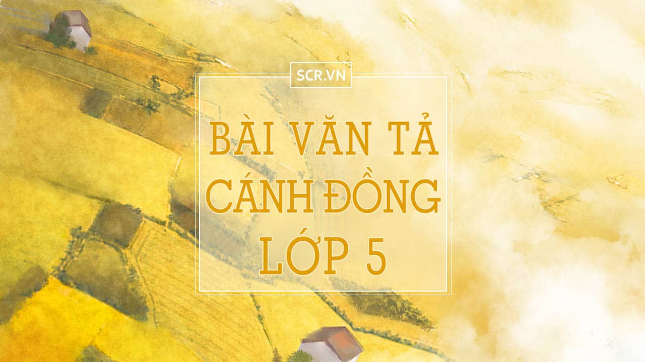 Bai Van Ta Canh Dong Lop 5