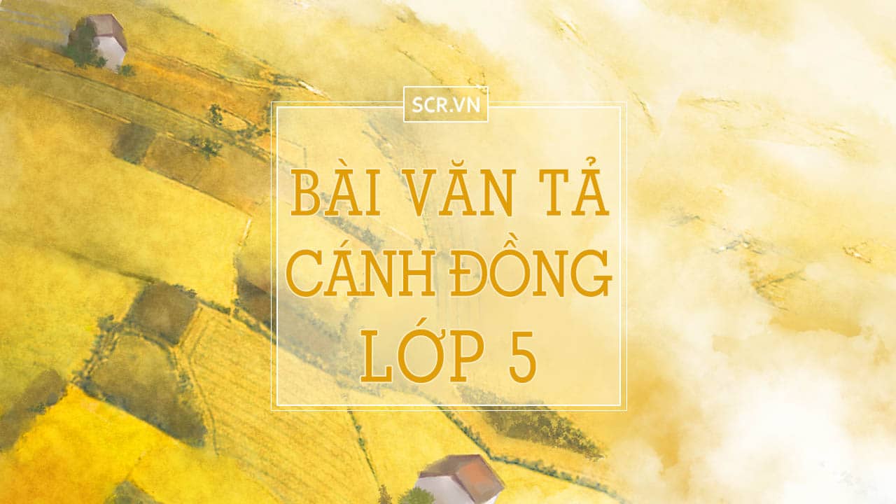 Bài Văn Tả Về Quê Hương Lớp 3 ❤️️54 Mẫu Tả Cảnh Đẹp Quê Hương 20