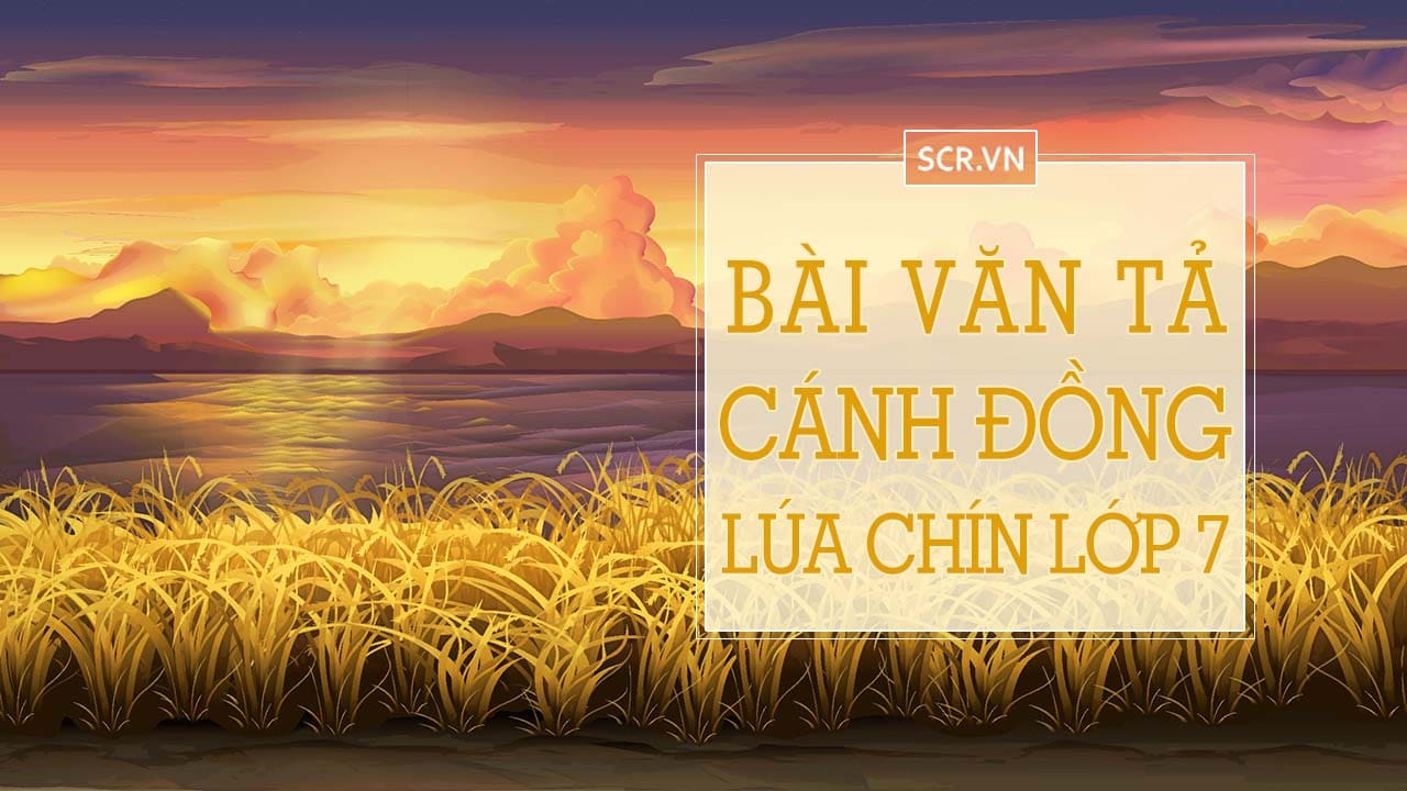 Bai Van Ta Canh Dong Lua Chin Lop 7