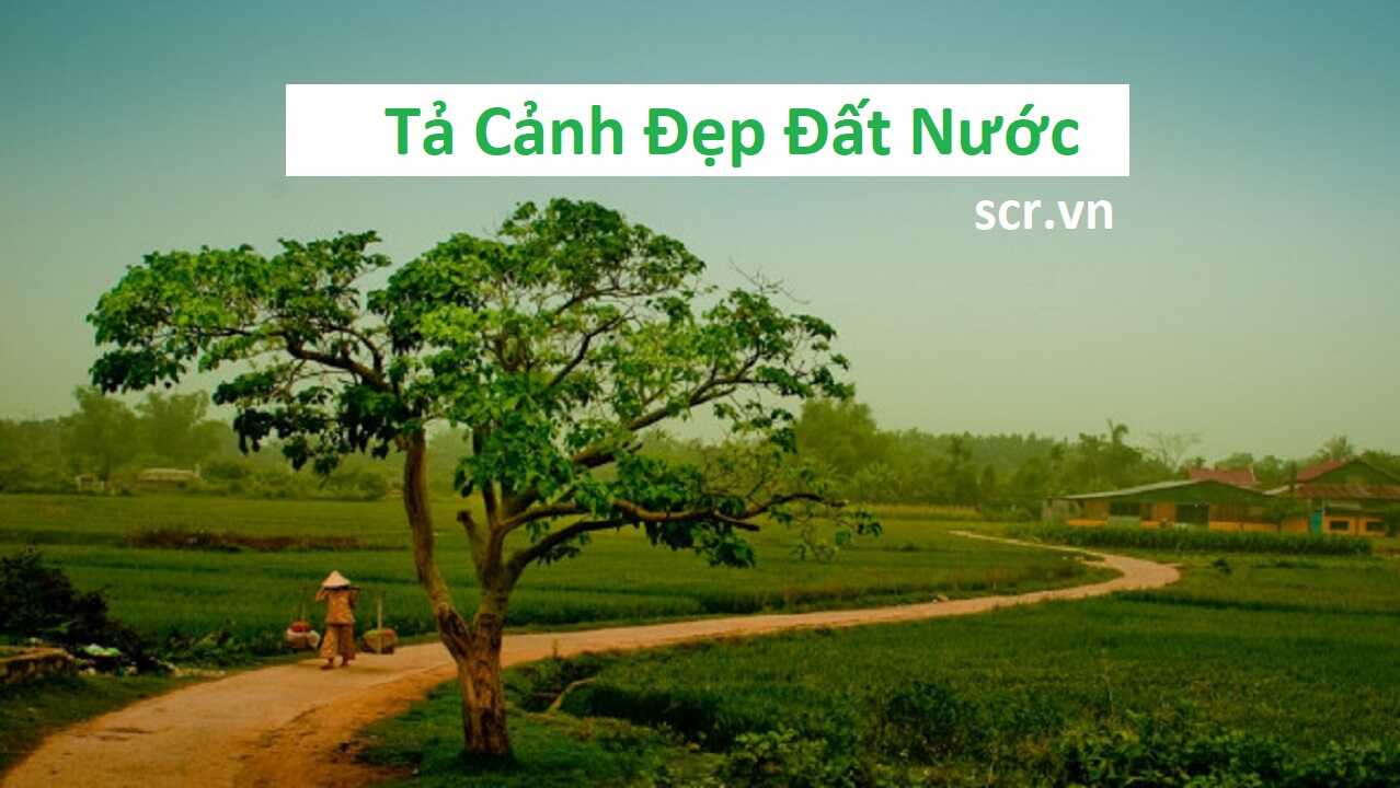 Ta Canh Dep Dat Nuoc