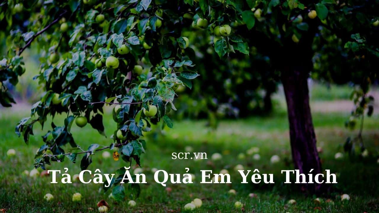 Tả Cây Ăn Quả Em Yêu Thích