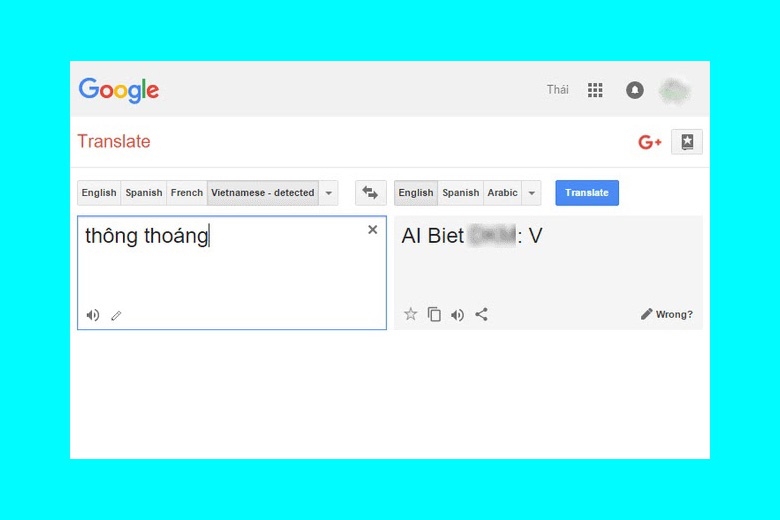 Google dịch chửi bậy