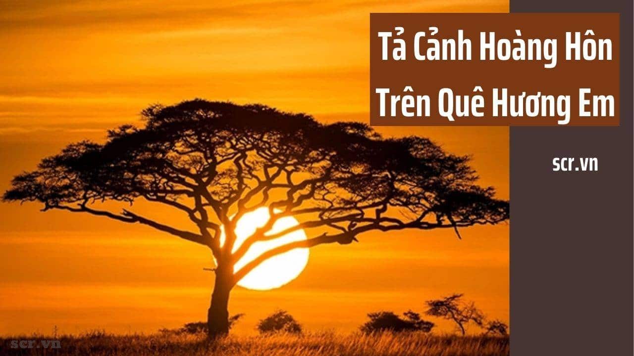 Tả cảnh hoàng hôn trên quê hương: Một cảnh tuyệt đẹp của bình minh trên quê hương, với những cánh đồng lúa và hoa phủ đầy sắc màu. Sự ấm áp và thân thiện của quê hương sẽ khiến bạn cảm thấy đầy niềm vui và hạnh phúc khi chiêm ngưỡng cảnh hoàng hôn này.