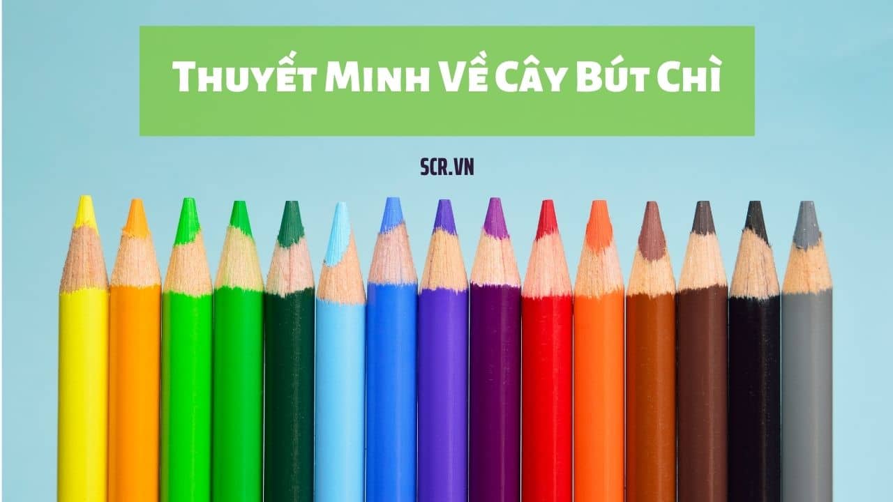 Thuyet Minh Ve Cay But Chi