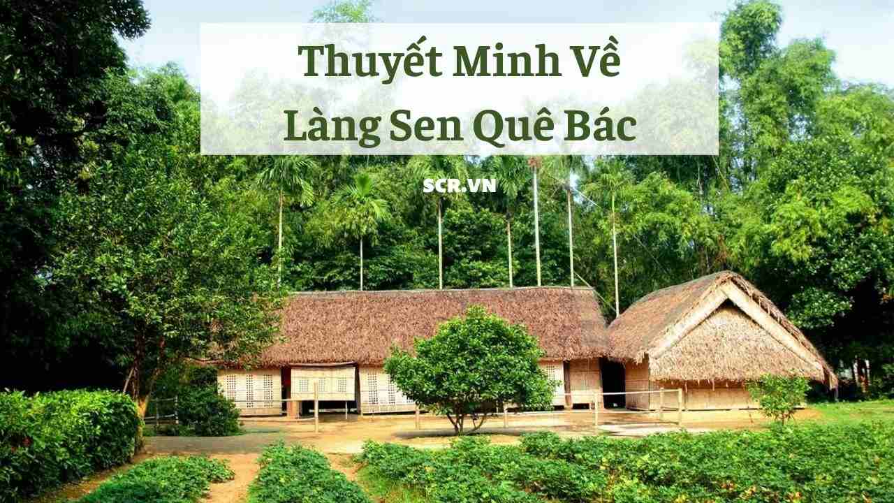Thuyet Minh Ve Lang Sen Que Bac