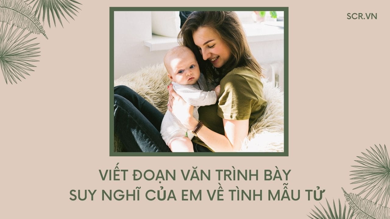 Viet Doan Van Trinh Bay Suy Nghi Cua Em Ve Tinh Mau Tu