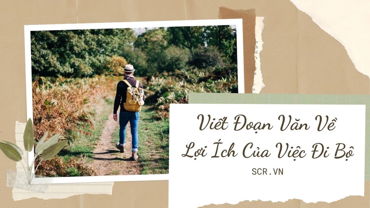Viet Doan Van Ve Loi Ich Cua Viec Di Bo
