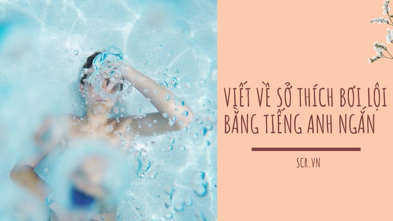 Viet Ve So Thich Boi Loi Bang Tieng Anh