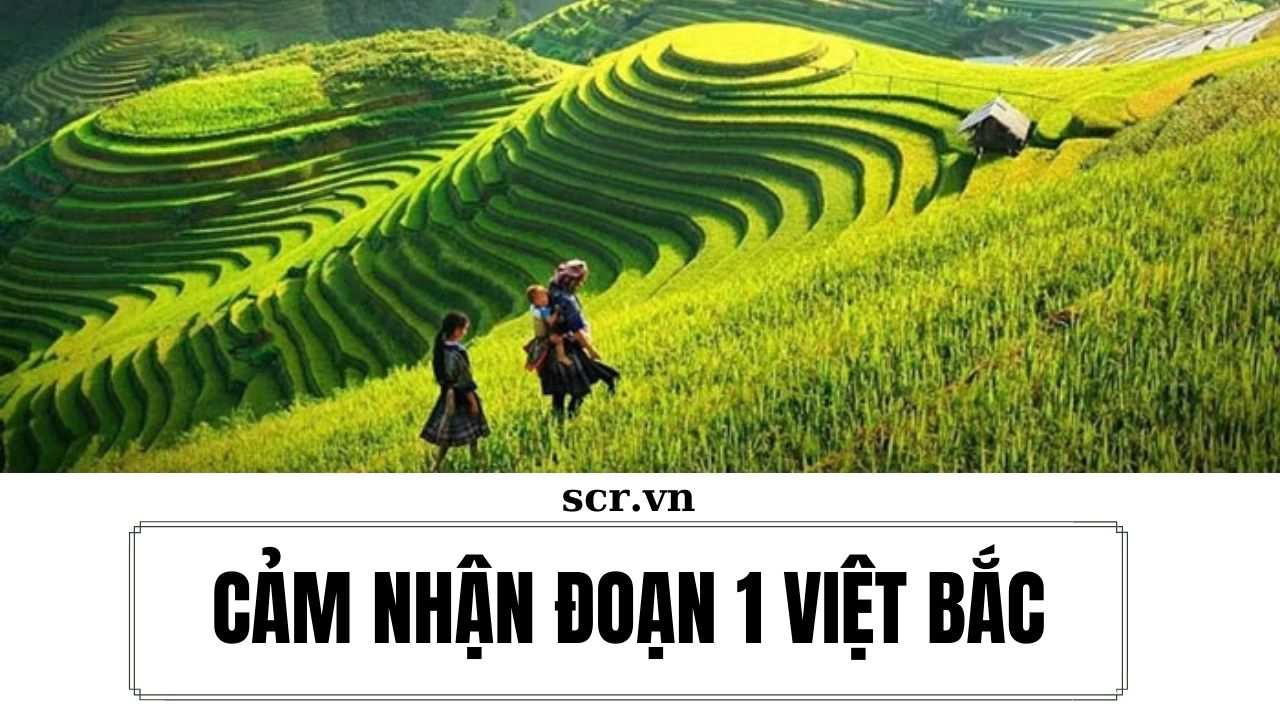 Cảm Nhận Đoạn 1 Việt Bắc