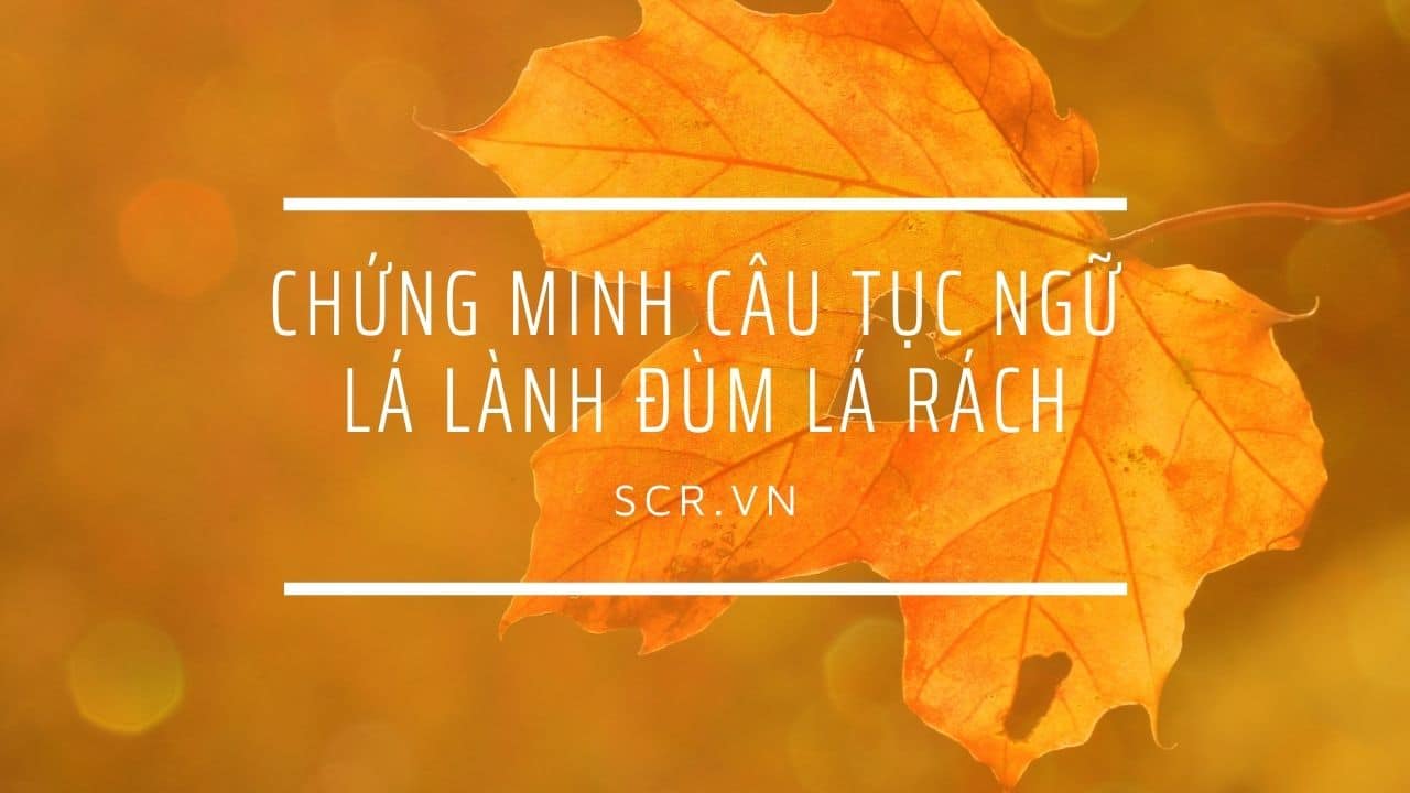 Chung Minh Cau Tuc Ngu La Lanh Dum La Rach