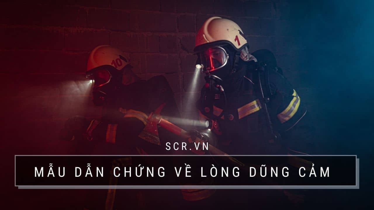 Dẫn Chứng Về Lòng Dũng Cảm