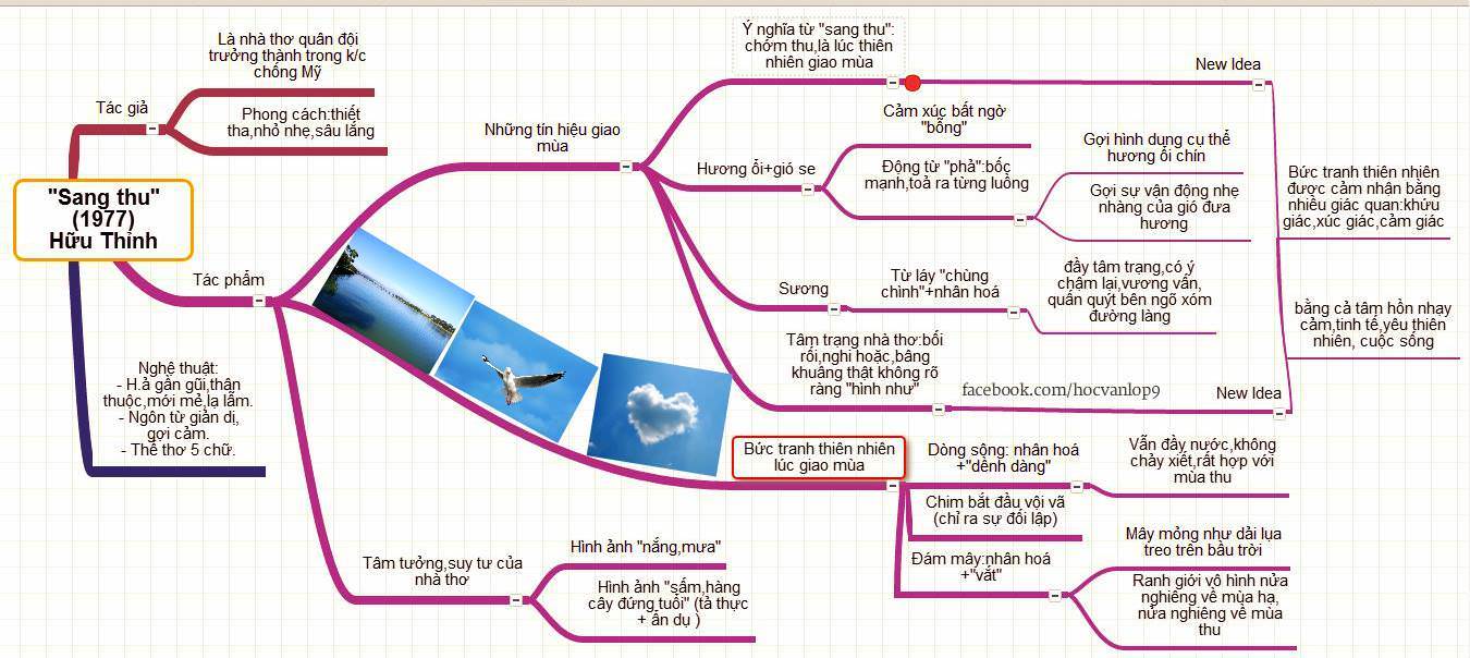 Mẫu Sơ Đồ Tư Duy Sang Thu Lớp 9 Sinh Động