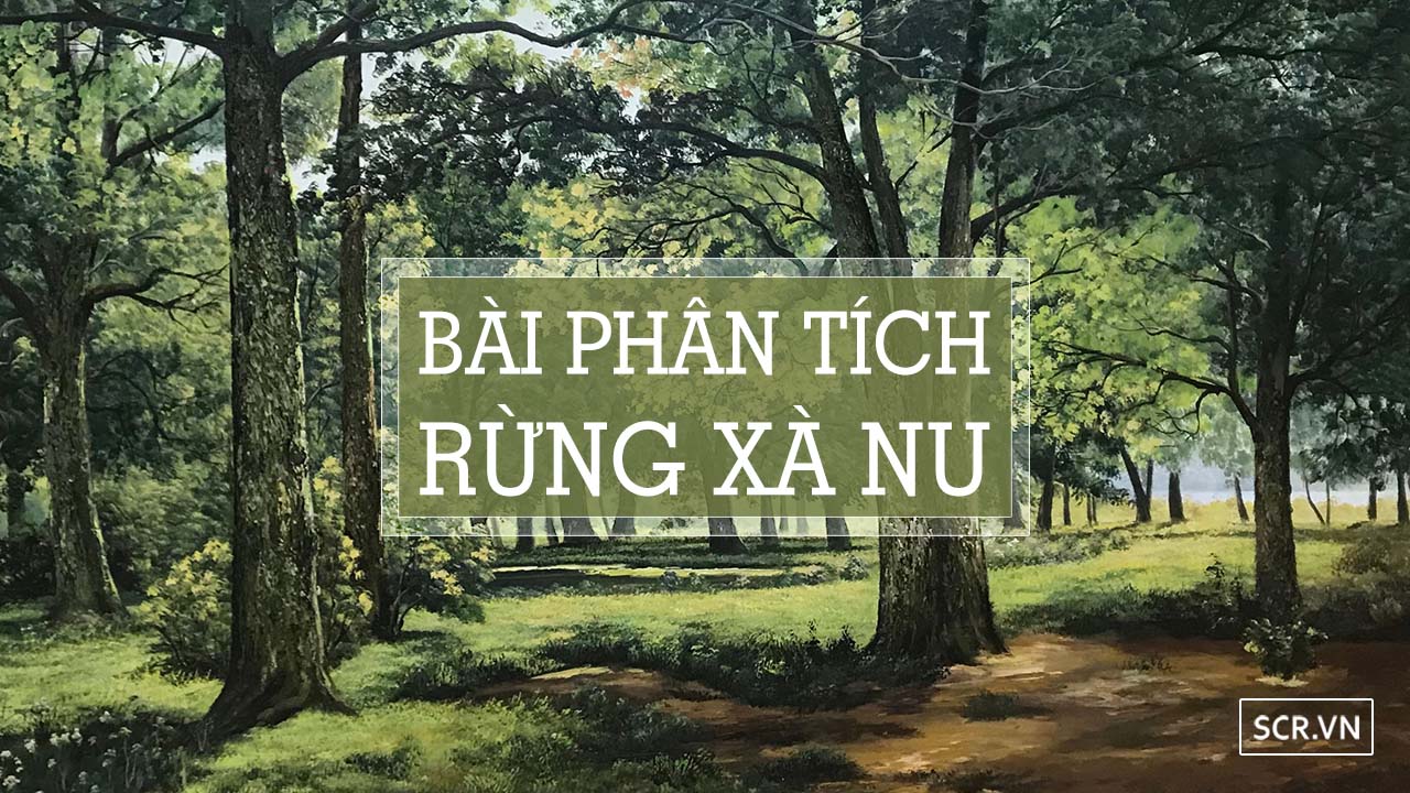 phân tích rừng xà nu