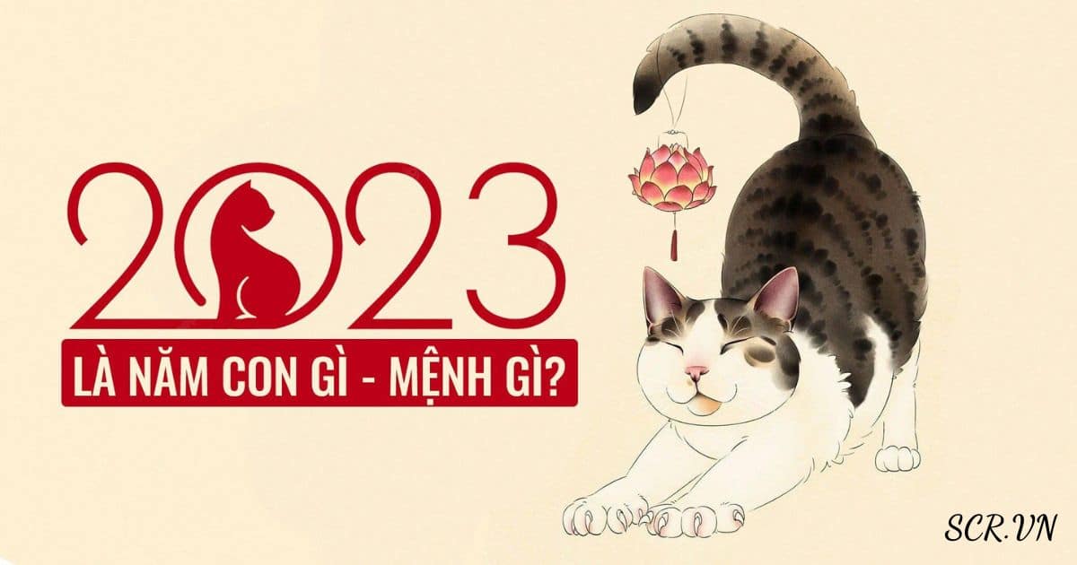 2023 MỆNH GÌ