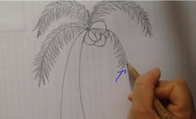 Vẽ lá dừa bằng bút chì