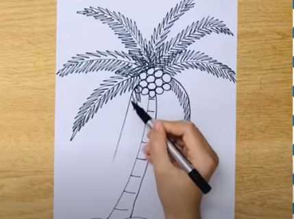 Vẽ lá dừa