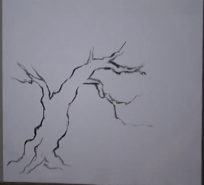 Vẽ tạo hình thân cây