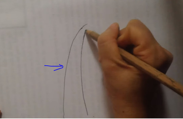Vẽ thân cây bằng bút chì