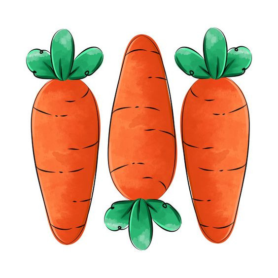 Tranh củ cà rốt đặc biệt