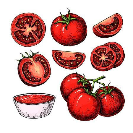Tranh quả cà chua chi tiết
