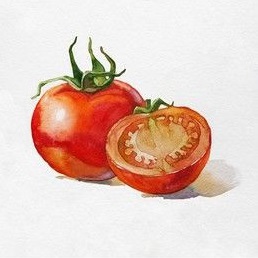 Tranh quả cà chua chọn lọc